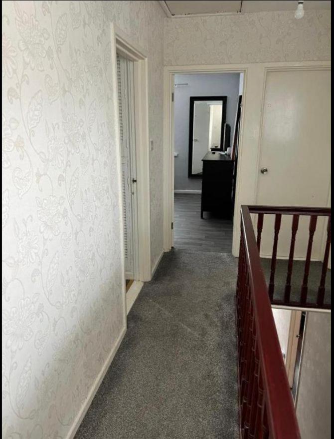 Macs Belfast Single Bedroom Exterior photo
